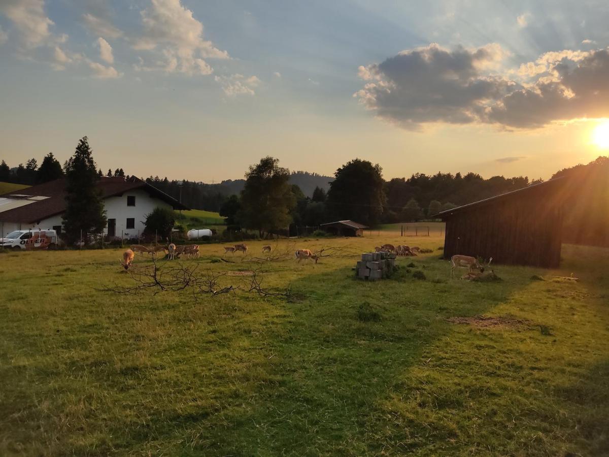 Pension Bachlhof Fursteneck Esterno foto